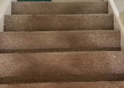 Dependable Carpet Cleaning Service