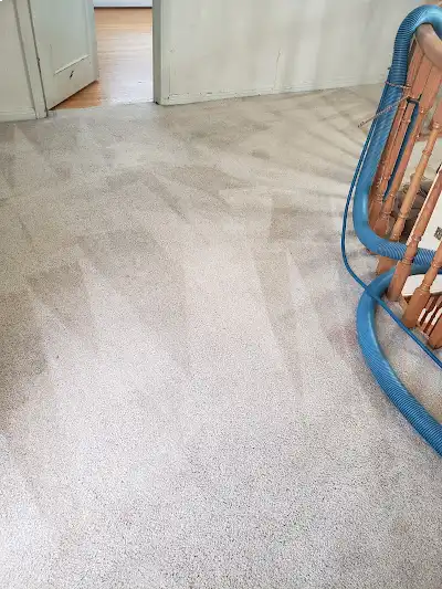 Dependable Carpet Cleaning Service