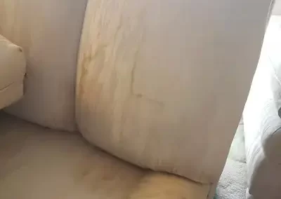 Dependable Upholstery Cleaning