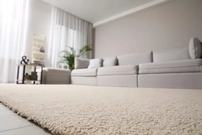 How Area Rug Services Protect Against Allergens North York, ON How Area Rug Services Protect Against Allergens North York, ON