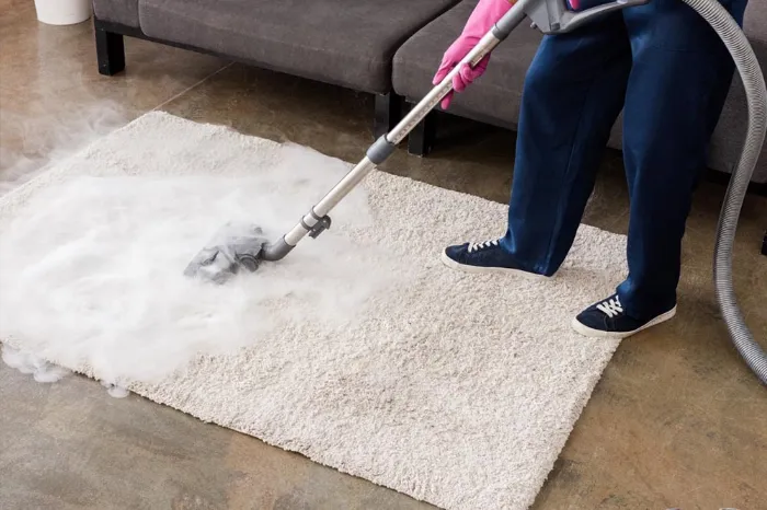 How Area Rug Services Protect Against Allergens in North York, ON How Area Rug Services Protect Against Allergens in North York, ON