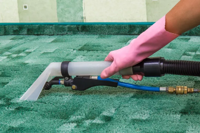 Proficient Water Extraction Services in North York, ON Proficient Water Extraction Services in North York, ON