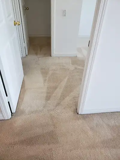 Reliable Carpet Cleaning Service