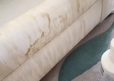 Reputable Upholstery Cleaning