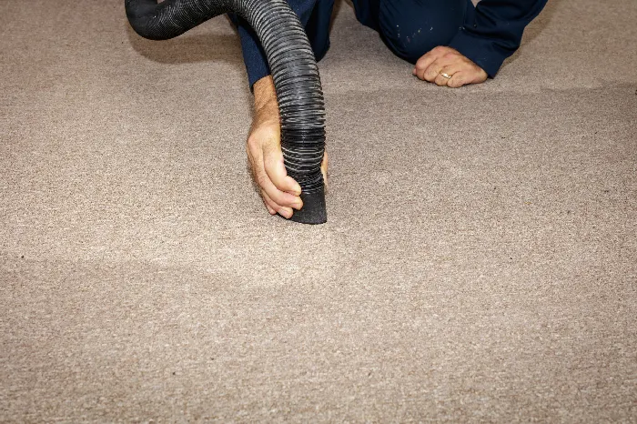 Steps Involved in Professional Carpet Water Extraction North York, ON Steps Involved in Professional Carpet Water Extraction North York, ON