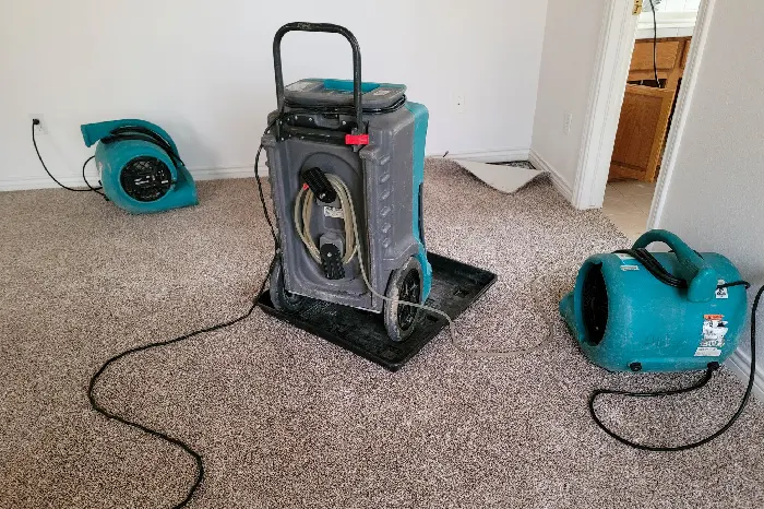 Steps Involved in Professional Carpet Water Extraction in North York, ON Steps Involved in Professional Carpet Water Extraction in North York, ON