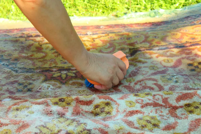 The Role of Area Rug Cleaning in Home Hygiene North York, ON The Role of Area Rug Cleaning in Home Hygiene North York, ON