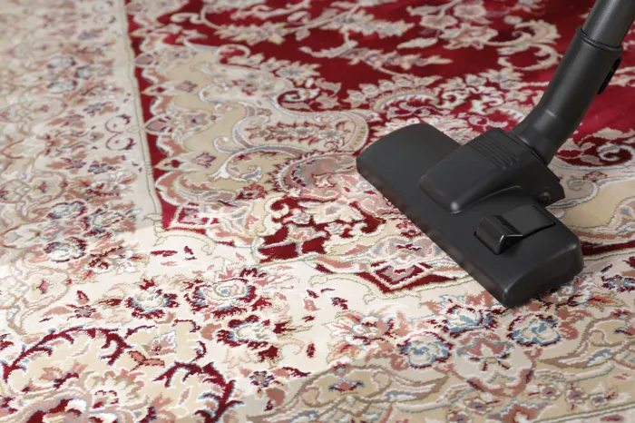 The Role of Area Rug Cleaning in Home Hygiene in North York, ON The Role of Area Rug Cleaning in Home Hygiene in North York, ON